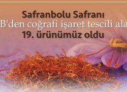 Avrupa Birliği’nden tescilli ilk baharatımız Safranbolu Safranı aldı.